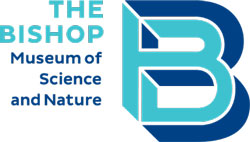 Sarasota summer camps