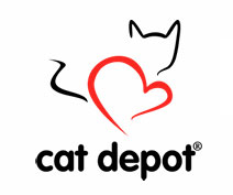 Sarasota summer camps